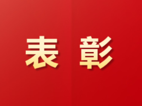 祝賀！這些青年集體和個(gè)人榮獲中國(guó)物流表彰！